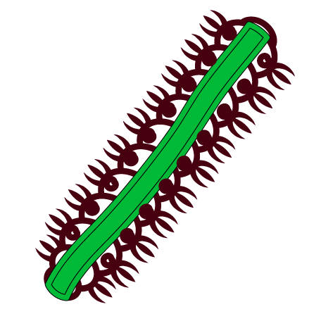 Illustration of Fall Webworms