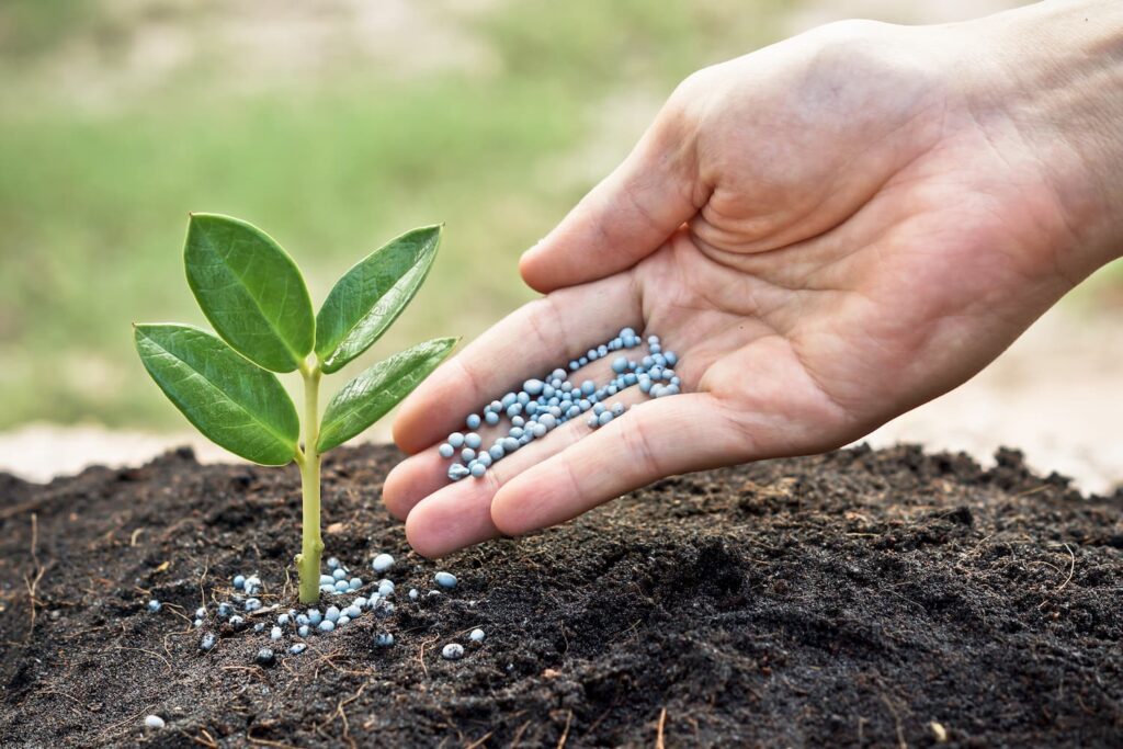 Tree Fertilization and Nutrition Service in Texas