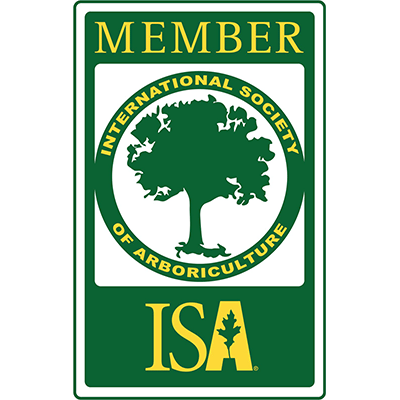 ISA Member